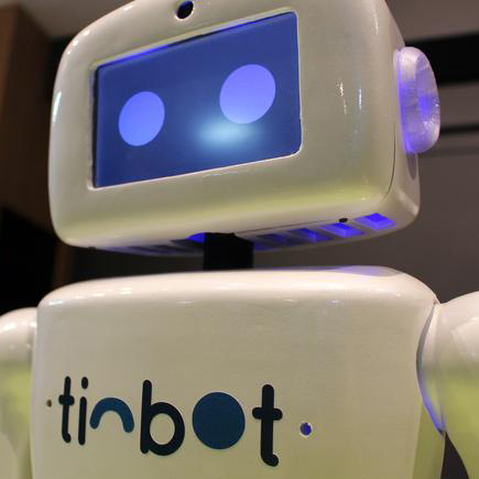 Tinbot