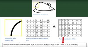Tutorial de rede convolucional