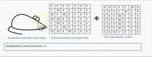 Tutorial de rede convolucional